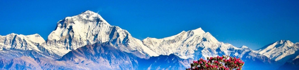 The Paradox of Progress: Trash, Tourists, and the Evolving Nepali Himalayas